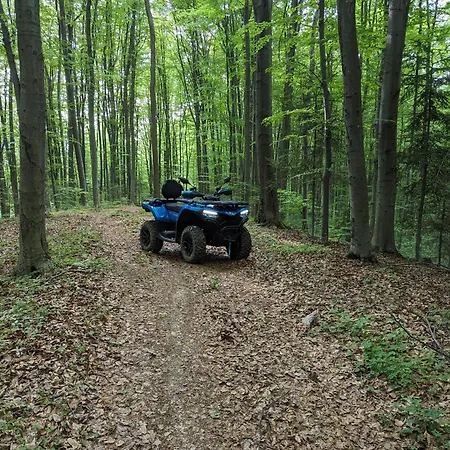 Vasanna Dağ evi Kosiv